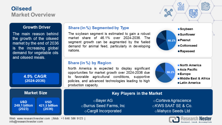 Oilseed Market Overview